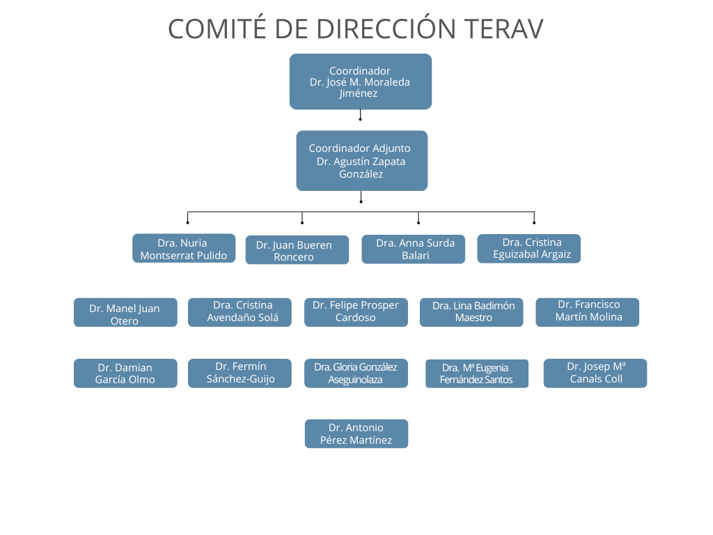 Comite de Dirección