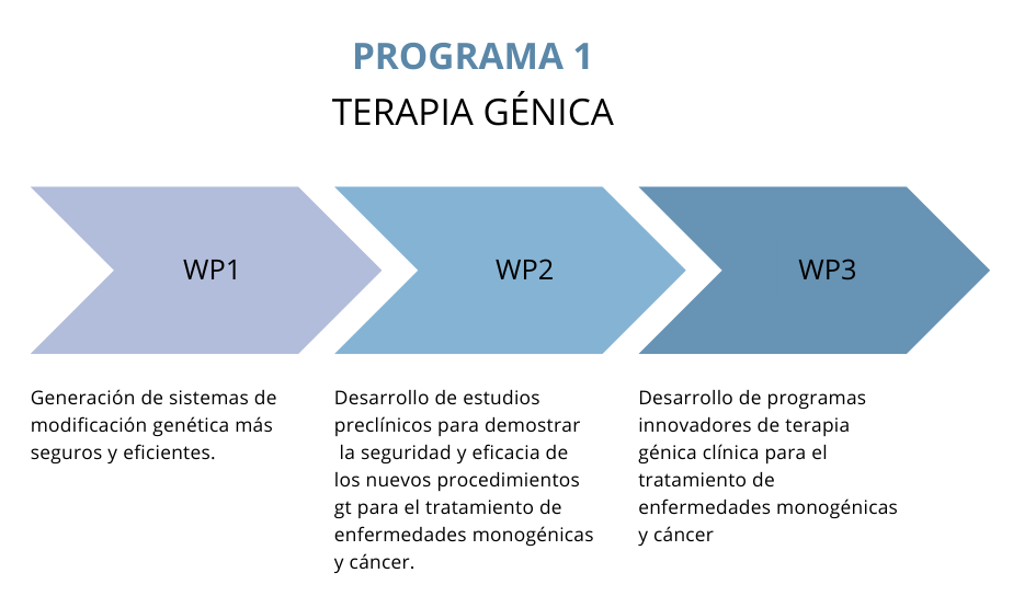 Programa 1 terapia genica