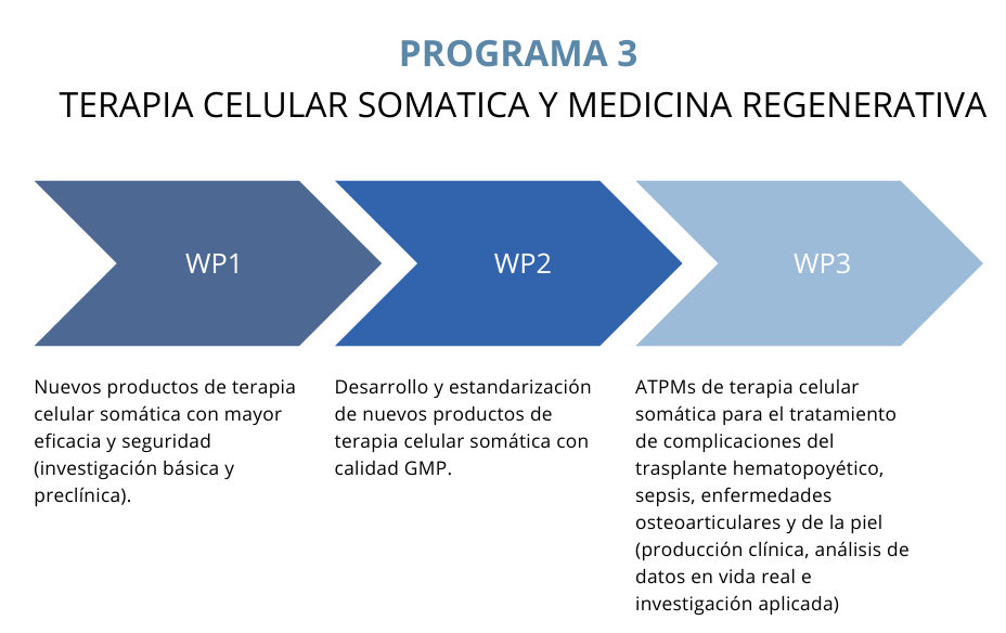 Programa 3 - T. Somatica