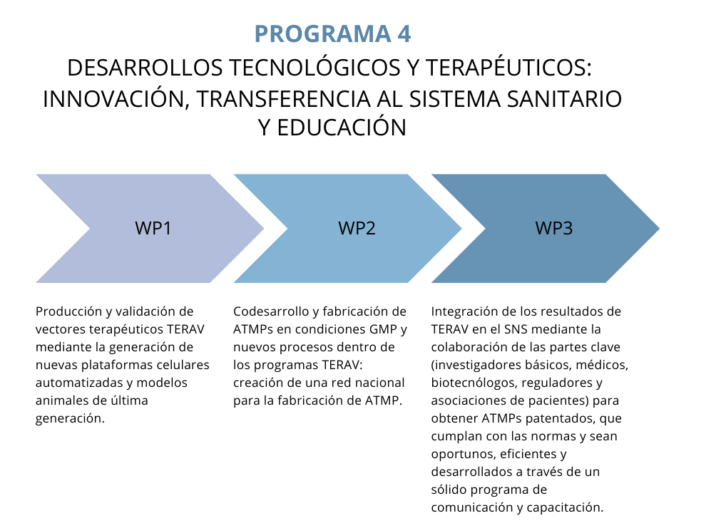 Programa 4 - Desarrollos